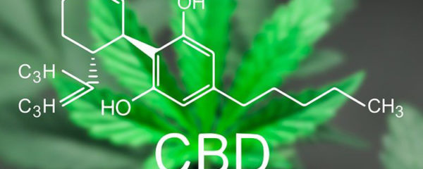 fumer du CBD